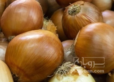 فروش پیاز زرد
