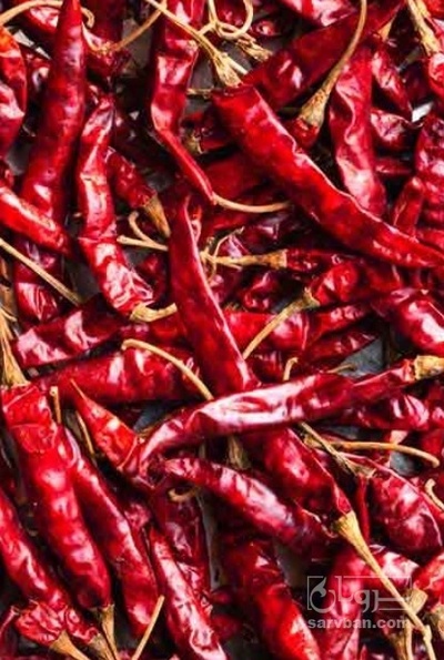 فروش فلفل خشک قرمز