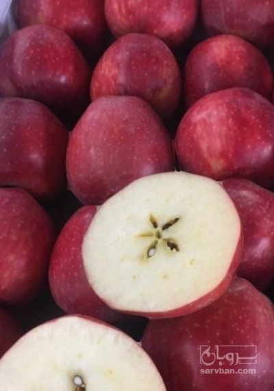 فروش سیب قرمز سبدی فله