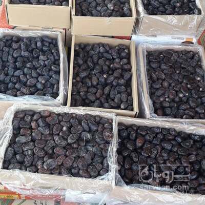 فروش خرمامضافتی