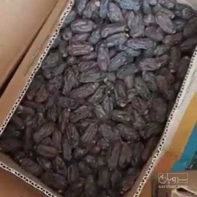 فروش خرما ربی