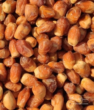 فروش خرما زاهدی