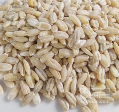 فروش جو پوست کنده