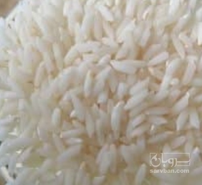 فروش برنج عنبر بو