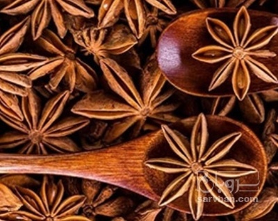 فروش انیسون - بادیان رومی (گیاه‌ دارویی)