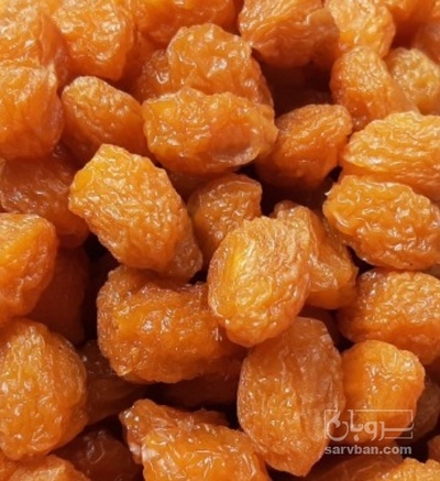 فروش آلو بخارا