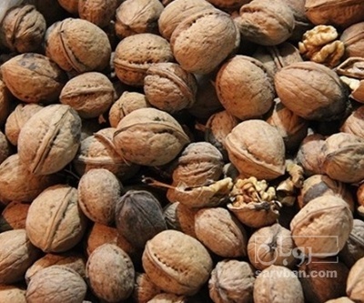 فروش گردو بوانات