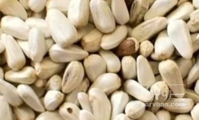 فروش  دانه گلرنگ