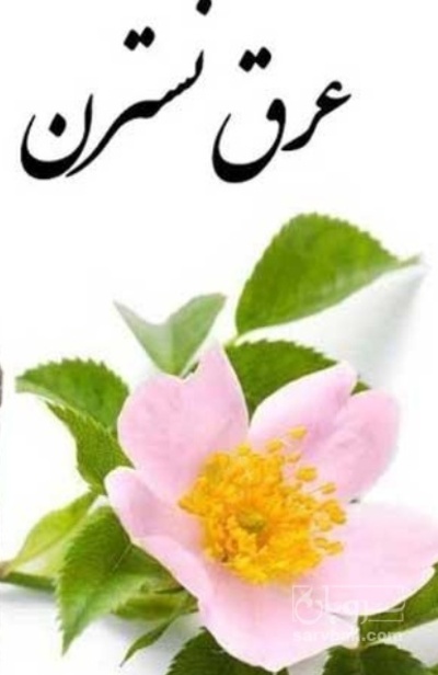 فروش عرق نسترن