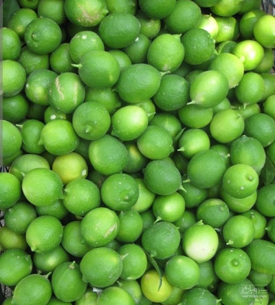 فروش لیموترش