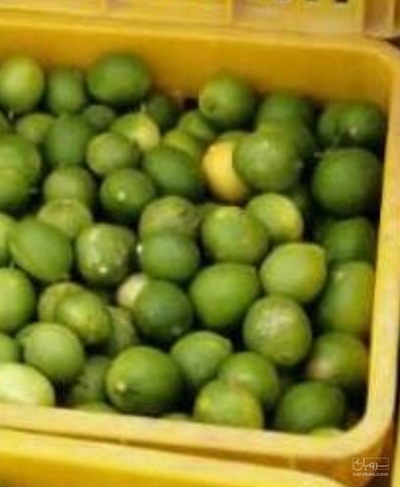 فروش لیموترش