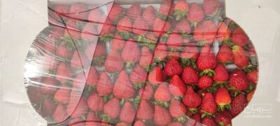 توت فرنگی گلخانه ای درجه یک کردستان