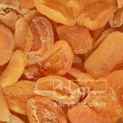 فروش برگه قیسی