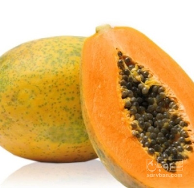 فروش پاپایا