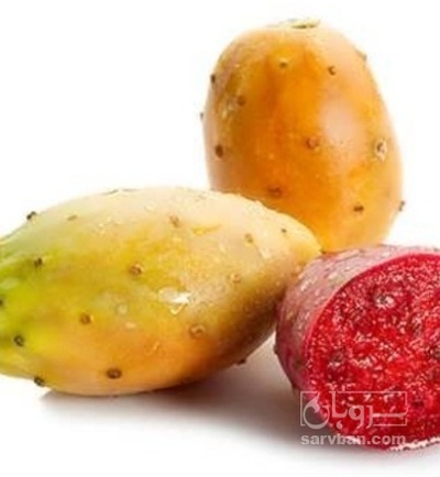 فروش میوه کاکتوس اپونتیا