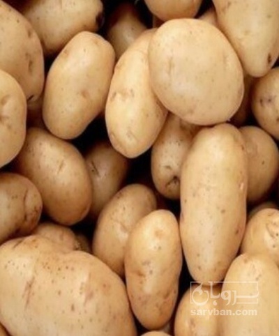 فروش سیب زمینی سیفرا402