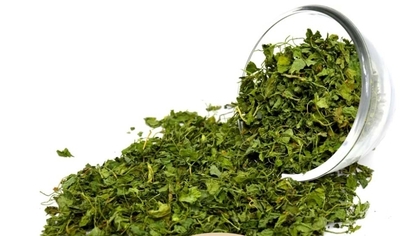فروش شنبلیله