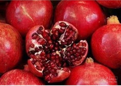 فروش انار