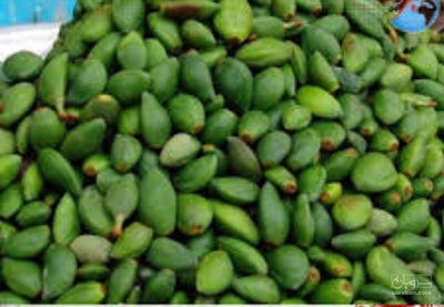 فروش چغاله بادام