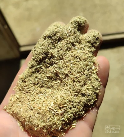 فروش پودریونجه