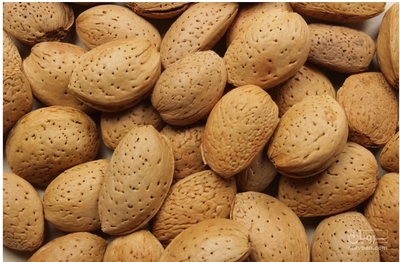 فروش بادام سنگی