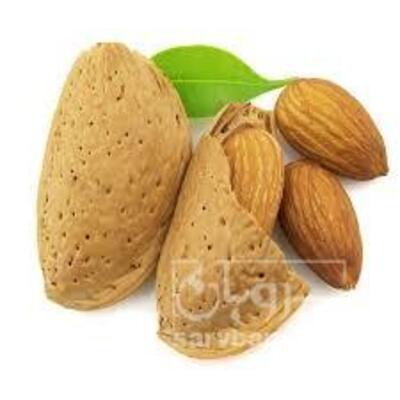 فروش بادام درختی