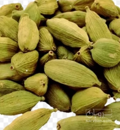 فروش هل (گیاه‌ دارویی)