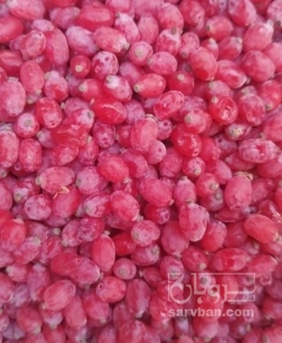 فروش زرشک تازه در سردخانه