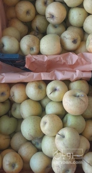 فروش سیب زرد