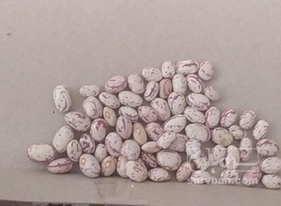 فروش لوبیا چیتی