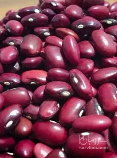فروش لوبیا قرمز