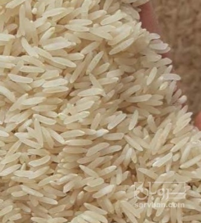 فروش برنج کامفیروزی