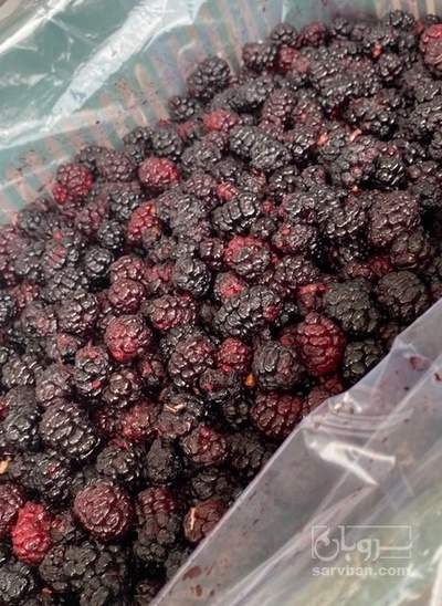 فروش شاتوت منجمد