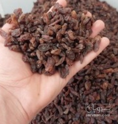 فروش کشمش ابگیری تیزابی