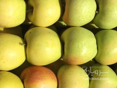 فروش سیب زرد
