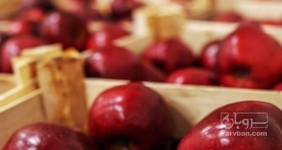فروش سیب قرمز