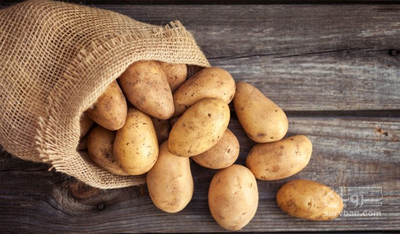 فروش سیب زمینی