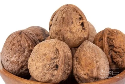 فروش گردو