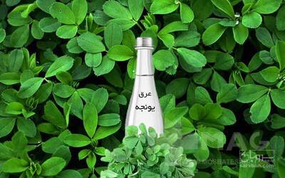 فروش عرق اسپست(یونجه)