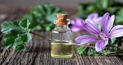 فروش عرق پنیرک