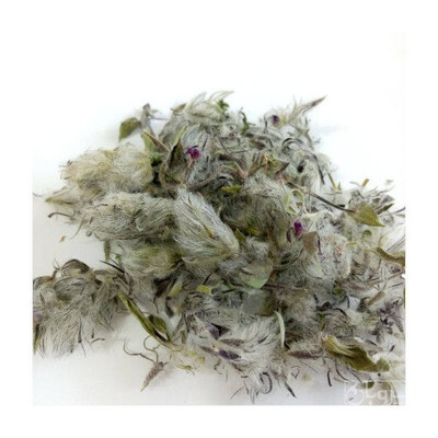 فروش چای کوهی (گیاه‌ دارویی)