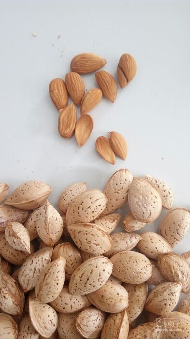فروش بادام پوست کاغذی