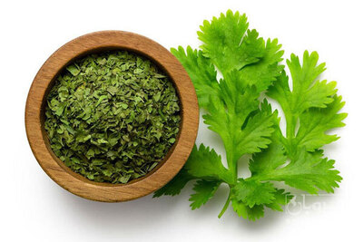 فروش گشنیزخشک