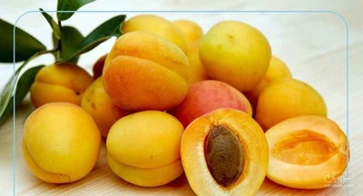فروش زردآلو