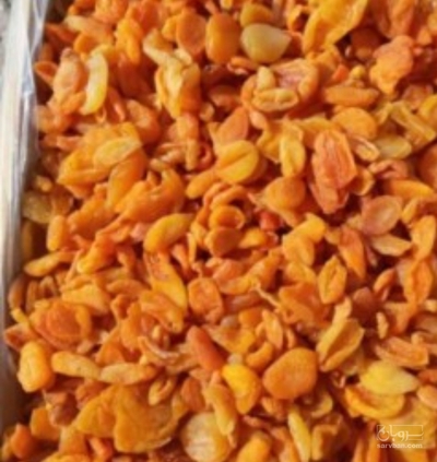 فروش برگه قیسی