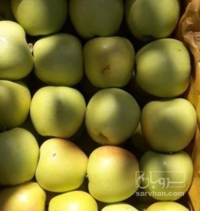 فروش سیب زرد