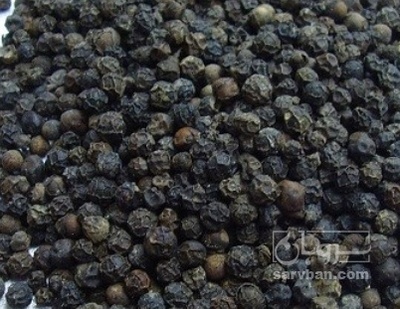 فروش فلفل سیاه