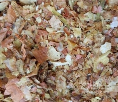 فروش پیاز خشک  اسیابی