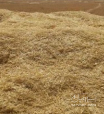 فروش کاه و کلش گندم