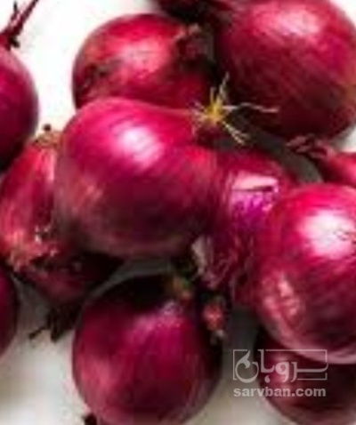 فروش پیاز قرمز
